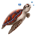 turtle